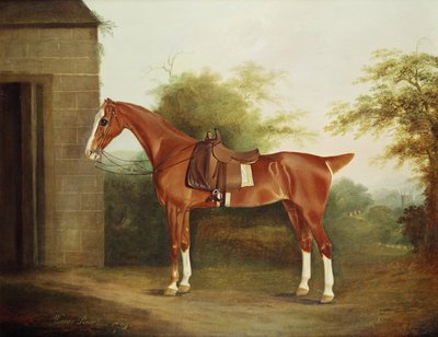 Horse with Side Saddle by Thomas Weaver